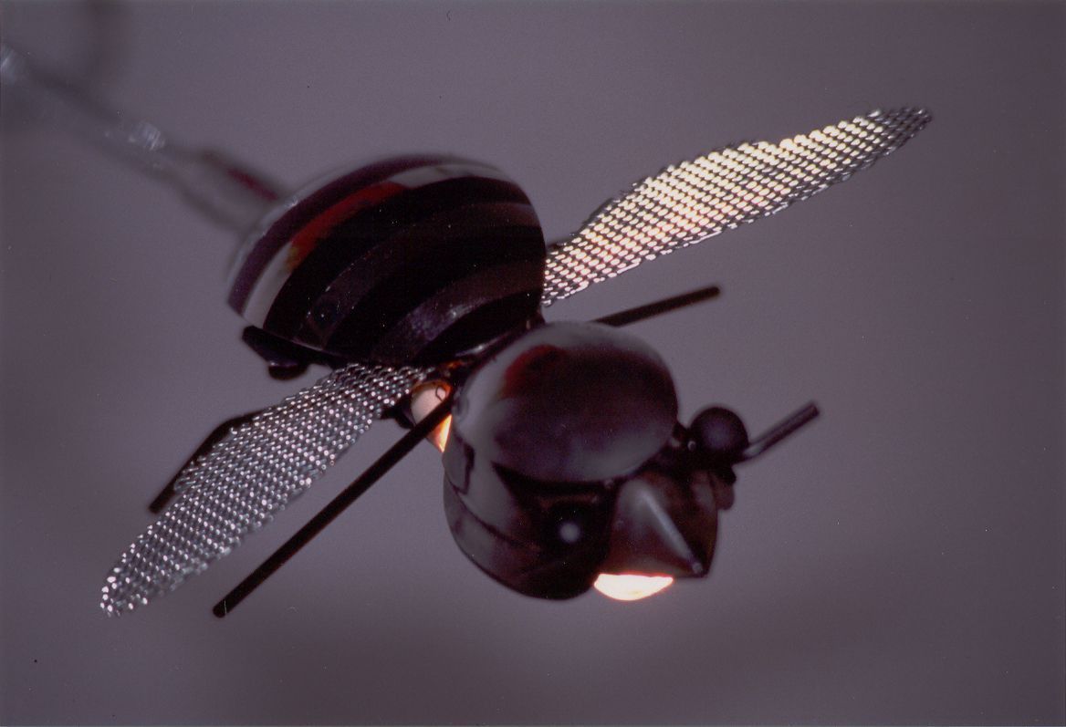 Lapecheronza